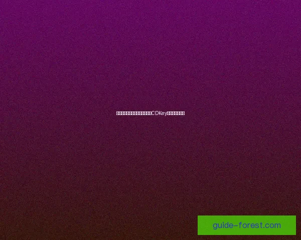 如何通过官方渠道领取英雄联盟CDKey及使用技巧详解